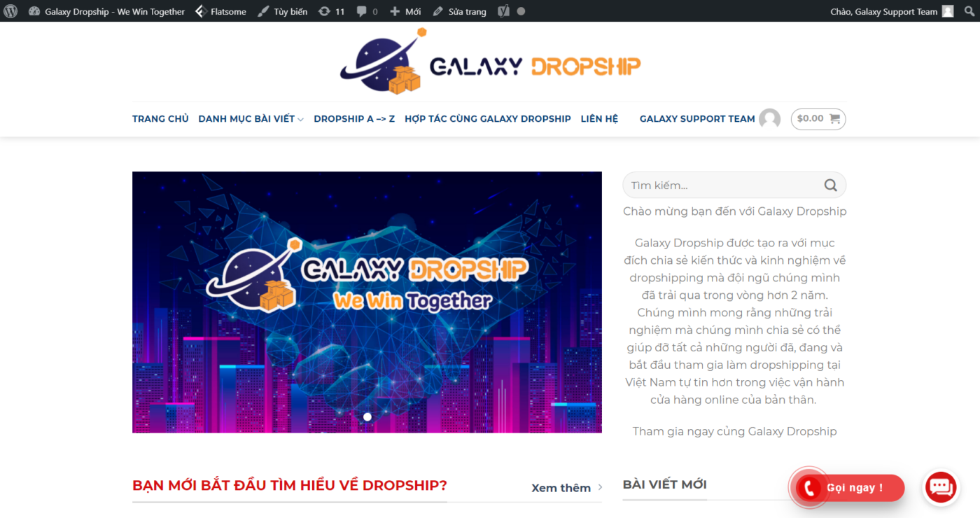 wordpress website